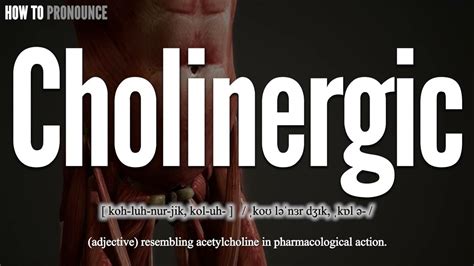 eptifibatide pronunciation|how to say cholinergic.